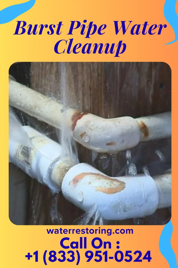 Burst Pipe Water Cleanup in Green Cove Springs, FL