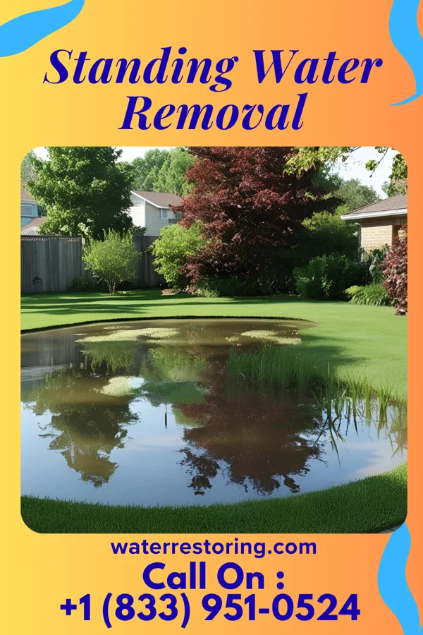 Standing Water Removal in Green Cove Springs, FL